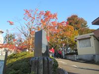 IMG_0043_R.JPG