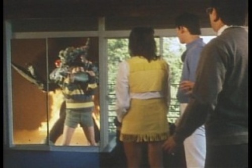 PDVD_023.jpg