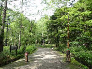 上高地11.jpg