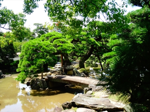 DSC05295_R.JPG