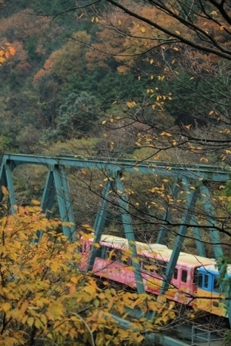 IMG_4608.jpg 1129(V.2012_11_30__02_13_00).jpg