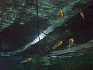 guam water.jpg