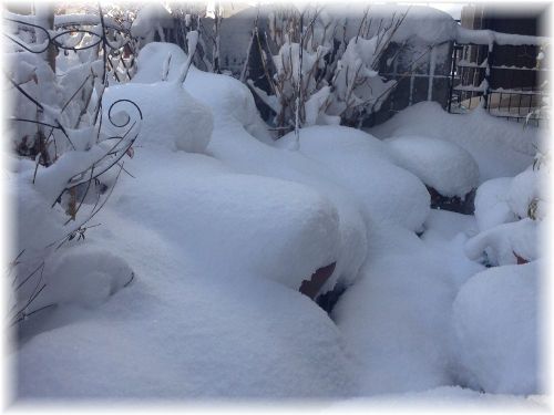 1月3日雪.jpg