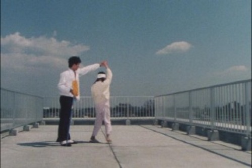 PDVD_011.jpg