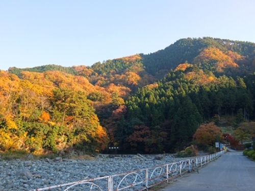 DSCF6652.JPG