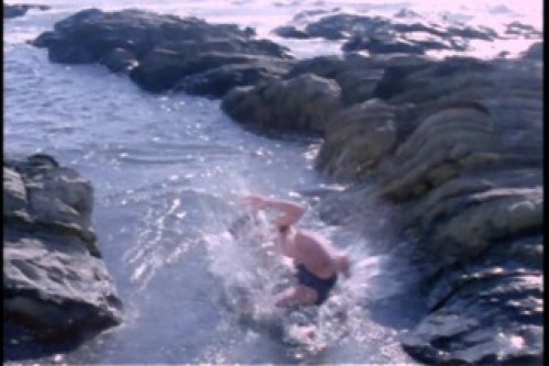PDVD_005.jpg