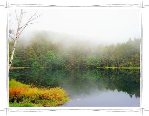 霧の御射鹿池 長野 茅野市 東山魁夷 緑響く