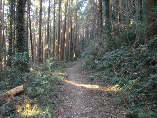 花嫁街道登山道 (3) (500x375).jpg