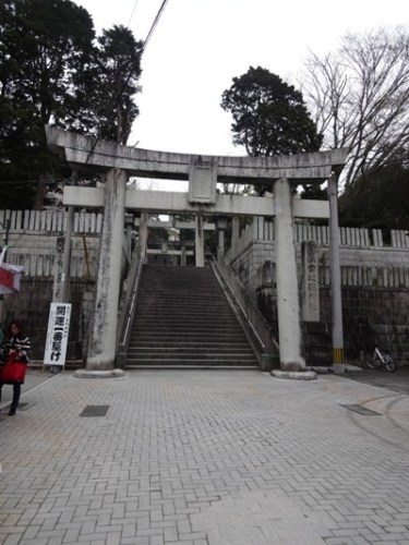 2.2016年桜 宮地嶽神社 (3).JPG