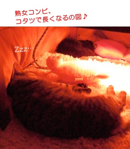 20150131_6.jpg