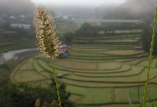 IMGP5561.JPG
