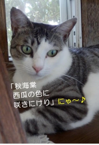 20140819_2.jpg