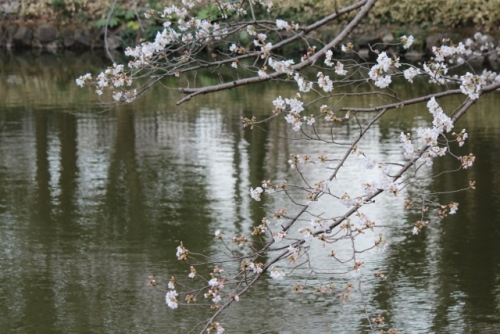 IMG_8221 (640x427).jpg