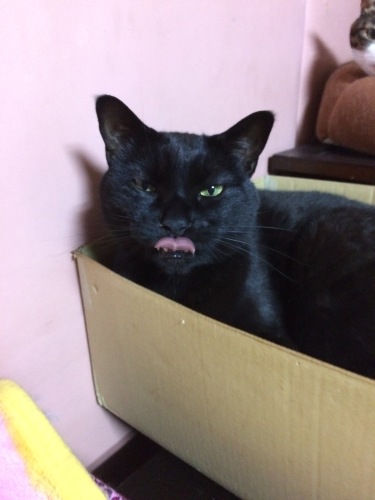 IMG_8062 - コピー.JPG