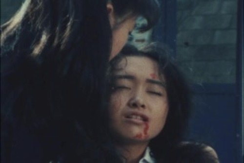 PDVD_005.jpg
