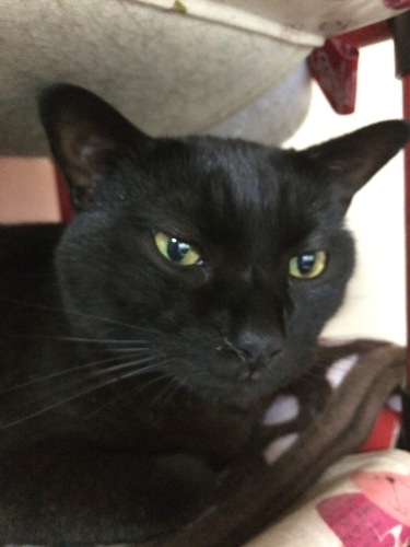 IMG_9959 - コピー.JPG