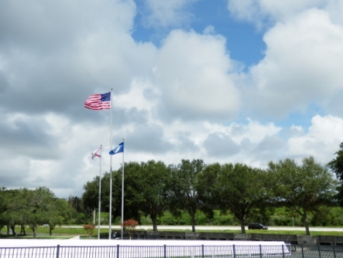 P8050234 (450x338).jpg