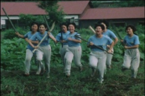 PDVD_032.jpg