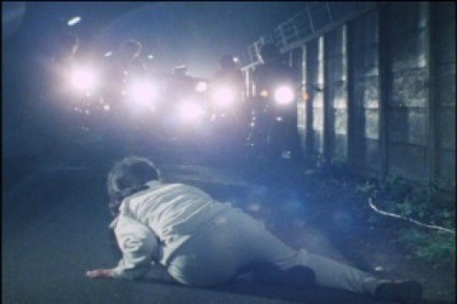 PDVD_048.jpg