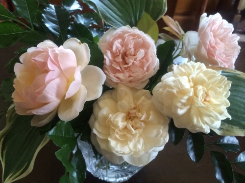 201408011852_6764_iphone.jpg