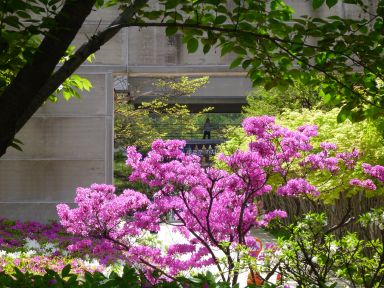 20120502GW韓国旅行30.jpg