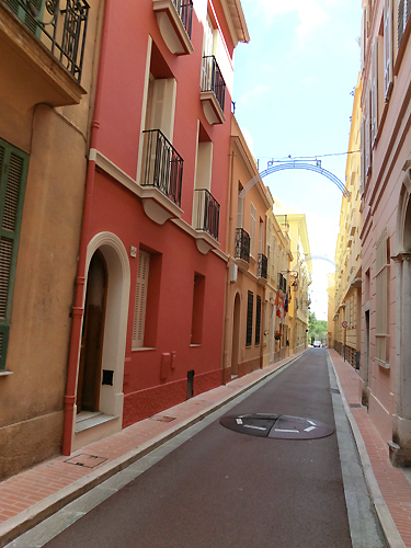 ﾓﾅｺｳﾞｨﾙ