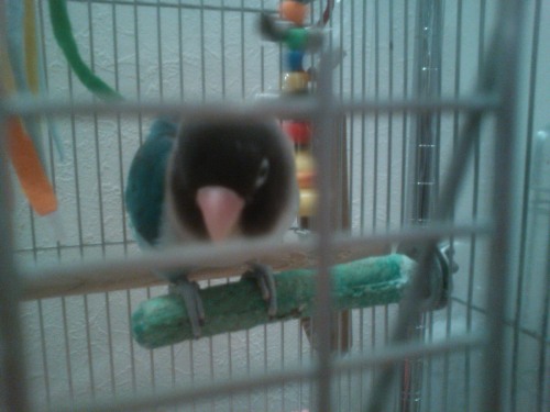 6 メイでーす♪.JPG