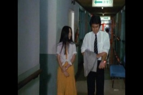 PDVD_029.jpg