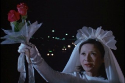 PDVD_032.jpg