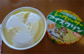 石垣161.jpg