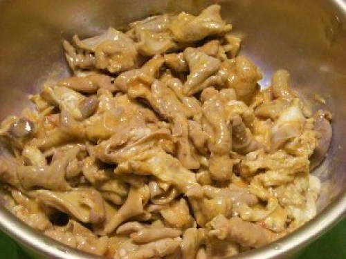 DSCN6526 (300x225).jpg