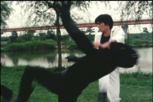 PDVD_000.jpg