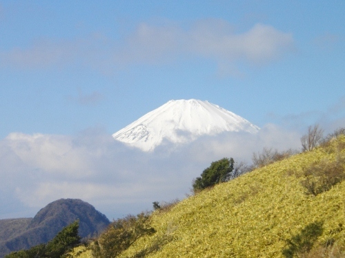 箱根外輪山 (22) (500x374).jpg