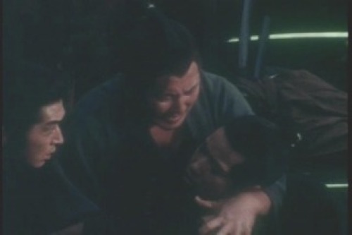 PDVD_030a.jpg