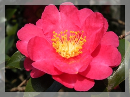 DSCF1333.JPG
