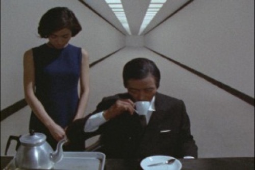 PDVD_022.jpg