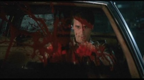 PDVD_024.jpg