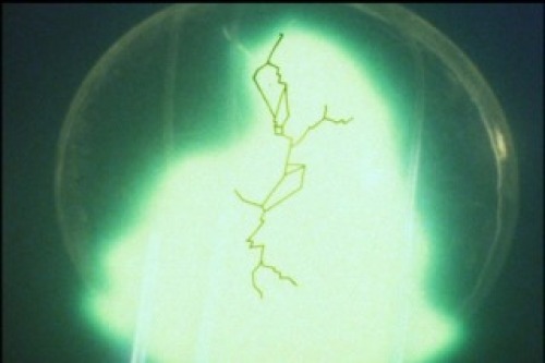 PDVD_025.jpg