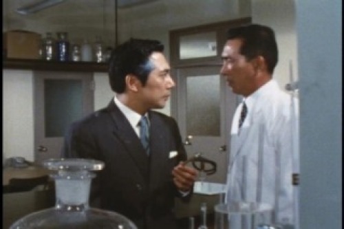 PDVD_024.jpg