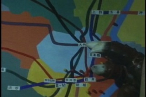 PDVD_002.jpg