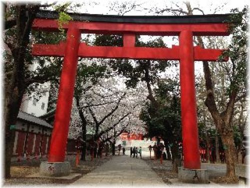 新宿花園神社.jpg