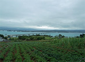 沖縄44.jpg