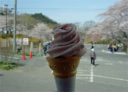 船岡33.jpg
