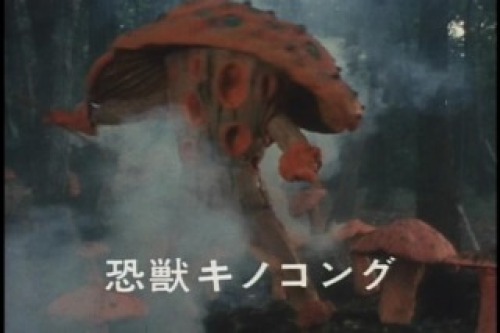 PDVD_001.jpg