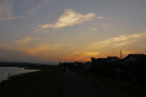 P1160066 のコピー.JPG