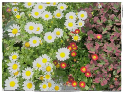 木曽三川公園　１３８タワー