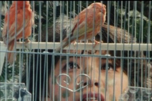 PDVD_028.jpg