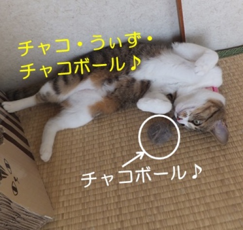 20130530_3.jpg