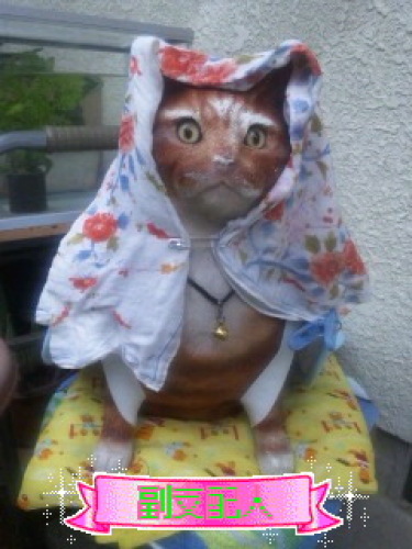 変身猫.JPG