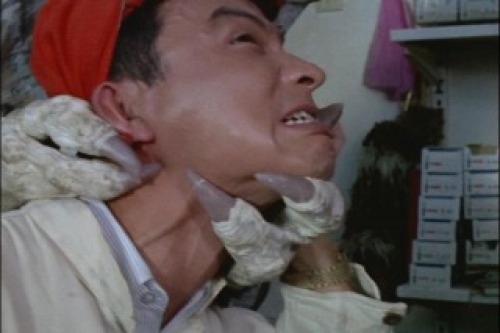 PDVD_013.jpg